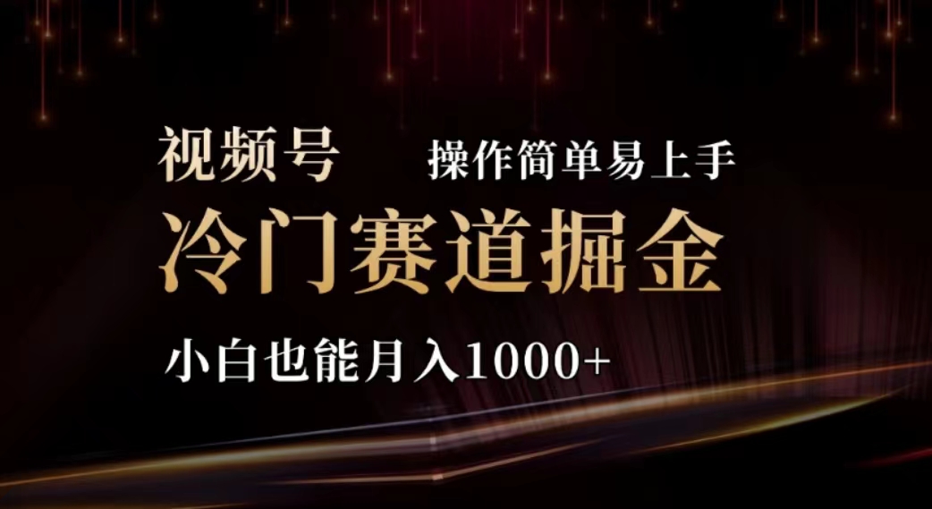 2024视频号冷门赛道掘金，操作简单轻松上手，小白也能月入1000+-云资源库