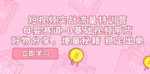 短视频实战流量特训营，母婴赛道-0基础带货，好物分享，爆量秘籍 稳定出单-云资源库