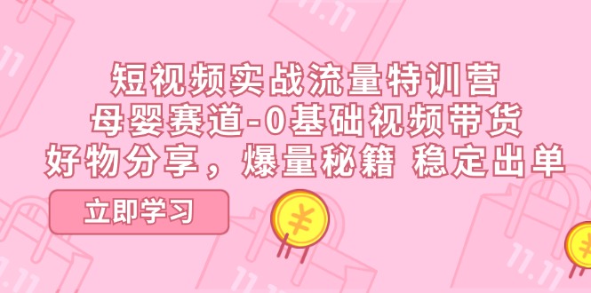 短视频实战流量特训营，母婴赛道-0基础带货，好物分享，爆量秘籍 稳定出单-云资源库