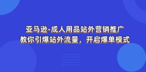 亚马逊-成人用品 站外营销推广  教你引爆站外流量，开启爆单模式-云资源库