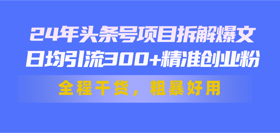 24年头条号项目拆解爆文，日均引流300+精准创业粉，全程干货，粗暴好用-云资源库