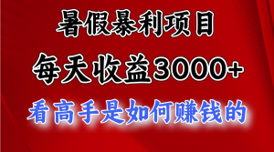 暑假暴利项目，每天收益3000+ 努努力能达到5000+，暑假大流量来了-云资源库