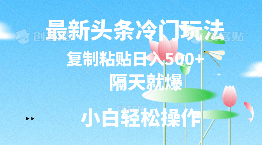 最新头条冷门玩法，隔天就爆，复制粘贴日入500+-云资源库