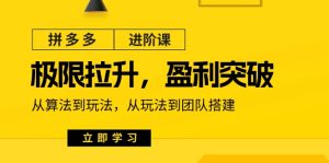 拼多多·进阶课：极限拉升/盈利突破：从算法到玩法 从玩法到团队搭建-18节-云资源库