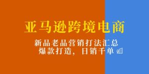 亚马逊跨境电商：新品老品营销打法汇总，爆款打造，日销千单-云资源库