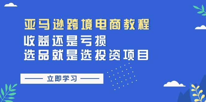 亚马逊跨境电商教程：收益还是亏损！选品就是选投资项目-云资源库