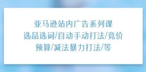 亚马逊站内广告系列课：选品选词/自动手动打法/竞价预算/减法暴力打法/等-云资源库