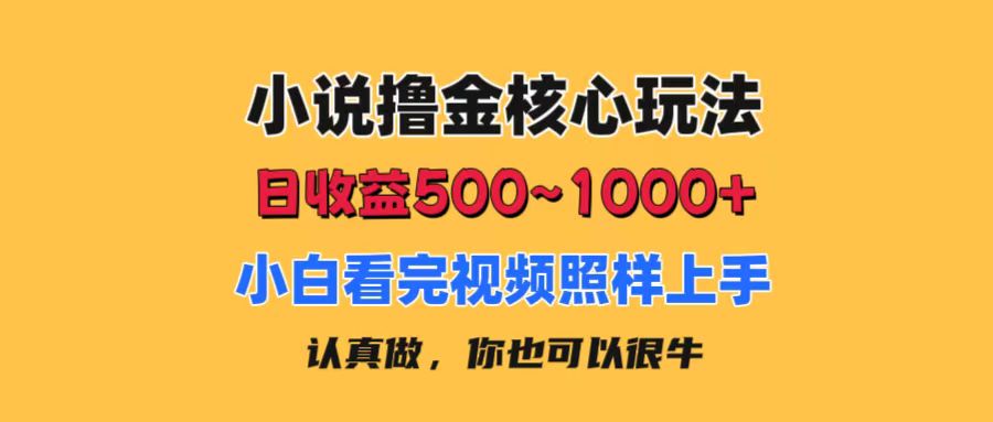 小说撸金核心玩法，日收益500-1000+，小白看完照样上手，0成本有手就行-云资源库