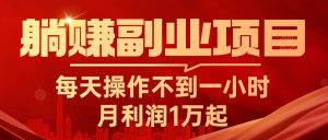 躺赚副业项目，每天操作不到一小时，月利润1万起，实战篇-云资源库