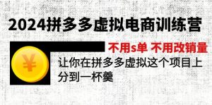 2024拼多多虚拟电商训练营 不用s单 不用改销量  在拼多多虚拟上分到一杯羹-云资源库