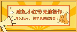 2024最赚钱的项目，咸鱼，小红书无脑操作，每单利润500+，轻松月入5万+…-云资源库