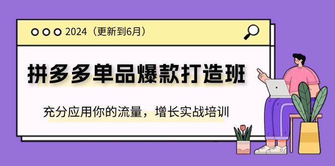 2024拼多多-单品爆款打造班(更新6月)，充分应用你的流量，增长实战培训-云资源库