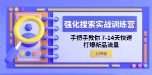 强化 搜索实战训练营，手把手教你 7-14天快速-打爆新品流量（13节课）-云资源库