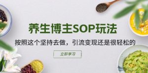 养生博主SOP玩法，按照这个坚持去做，引流变现还是很轻松的-云资源库