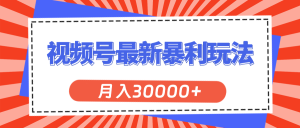 视频号最新暴利玩法，轻松月入30000+-云资源库