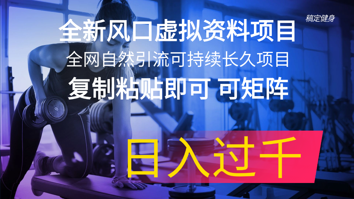 全新风口虚拟资料项目 全网自然引流可持续长久项目 复制粘贴即可可矩阵…-云资源库