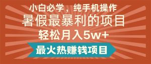 小白必学，纯手机操作，暑假最暴利的项目轻松月入5w+最火热赚钱项目-云资源库