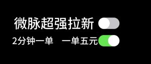 微脉超强拉新， 两分钟1单， 一单利润5块，适合小白-云资源库