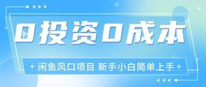 最新风口项目闲鱼空调3.0玩法，月入过万，真正的0成本0投资项目-云资源库