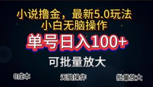 全自动小说撸金，单号日入100+小白轻松上手，无脑操作-云资源库