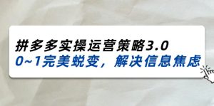 2024_2025拼多多实操运营策略3.0，0~1完美蜕变，解决信息焦虑（38节）-云资源库