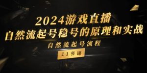 2024游戏直播-自然流起号稳号的原理和实战，自然流起号流程（11节）-云资源库