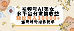 视频号AI美女，轻松月入30000+,操作简单轻松上手-云资源库