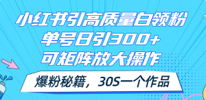 小红书引高质量白领粉，单号日引300+，可放大操作，爆粉秘籍！30s一个作品-云资源库