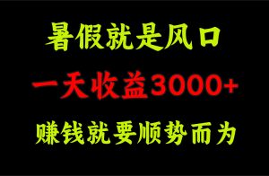 一天收益3000+ 赚钱就是顺势而为，暑假就是风口-云资源库