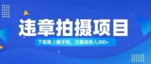 随手拍也能赚钱？对的日入300+-云资源库