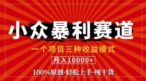 视频号【中老年粉深信不疑】小众赛道 100%原创 手把手教学 新号3天收益…-云资源库