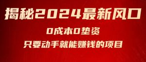 揭秘2024最新风口，0成本0垫资，新手小白只要动手就能赚钱的项目—空调-云资源库