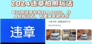 2024违章拍照新玩法，推广躺赚+拍照赚钱双模式，日入1000+-云资源库