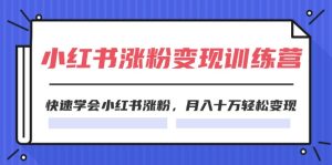 2024小红书涨粉变现训练营，快速学会小红书涨粉，月入十万轻松变现(40节)-云资源库