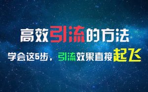 高效引流的方法，可以帮助你日引300+创业粉，一年轻松收入30万，比打工强-云资源库