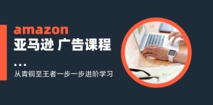 amazon亚马逊 广告课程：从青铜至王者一步一步进阶学习（16节）-云资源库