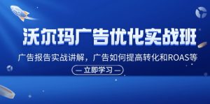 沃尔玛广告优化实战班，广告报告实战讲解，广告如何提高转化和ROAS等-云资源库