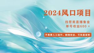 小白轻松入手，当天收益600➕，可批量可复制-云资源库