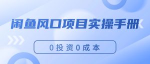 闲鱼风口项目实操手册，0投资0成本，让你做到，月入过万，新手可做-云资源库