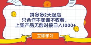 拼多多2天起店，只合作不卖课不收费，上架产品无偿对接日入1000+-云资源库