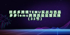 拼多多跨境TEMU实战与选品，多多temu跨境选品运营实操（33节）-云资源库