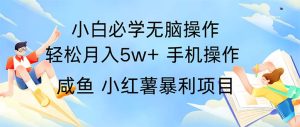 2024热门暴利手机操作项目，简单无脑操作，每单利润最少500-云资源库