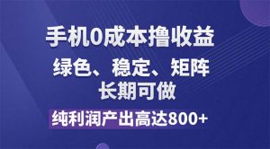 纯利润高达800+，手机0成本撸羊毛，项目纯绿色，可稳定长期操作！-云资源库