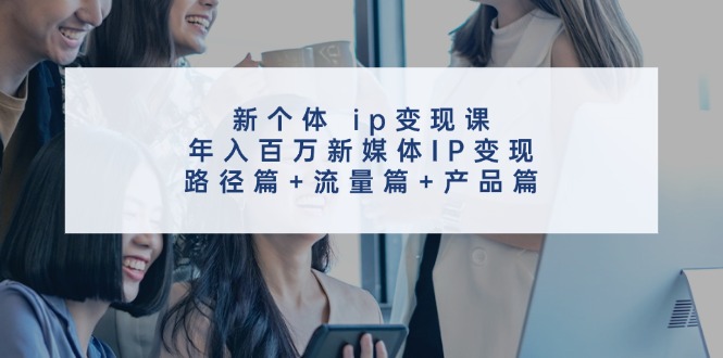 新个体 ip变现课，年入百万新媒体IP变现，路径篇+流量篇+产品篇-云资源库