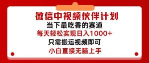 微信中视频伙伴计划，仅靠搬运就能轻松实现日入500+，关键操作还简单，…-云资源库