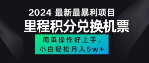 2024最新里程积分兑换机票，手机操作小白轻松月入5万++-云资源库