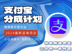 2024蓝海项目，支付宝分成计划项目，教你刷爆播放量收益，三分钟一条作…-云资源库