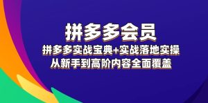 拼多多 会员，拼多多实战宝典+实战落地实操，从新手到高阶内容全面覆盖-云资源库