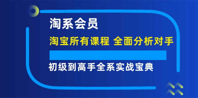 淘系会员【淘宝所有课程，全面分析对手】，初级到高手全系实战宝典-云资源库