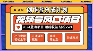 微信视频号大风口项目 轻松月入2w+ 多赛道选择，可矩阵，玩法简单轻松上手-云资源库